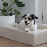 Rapsu Bed – Ivory