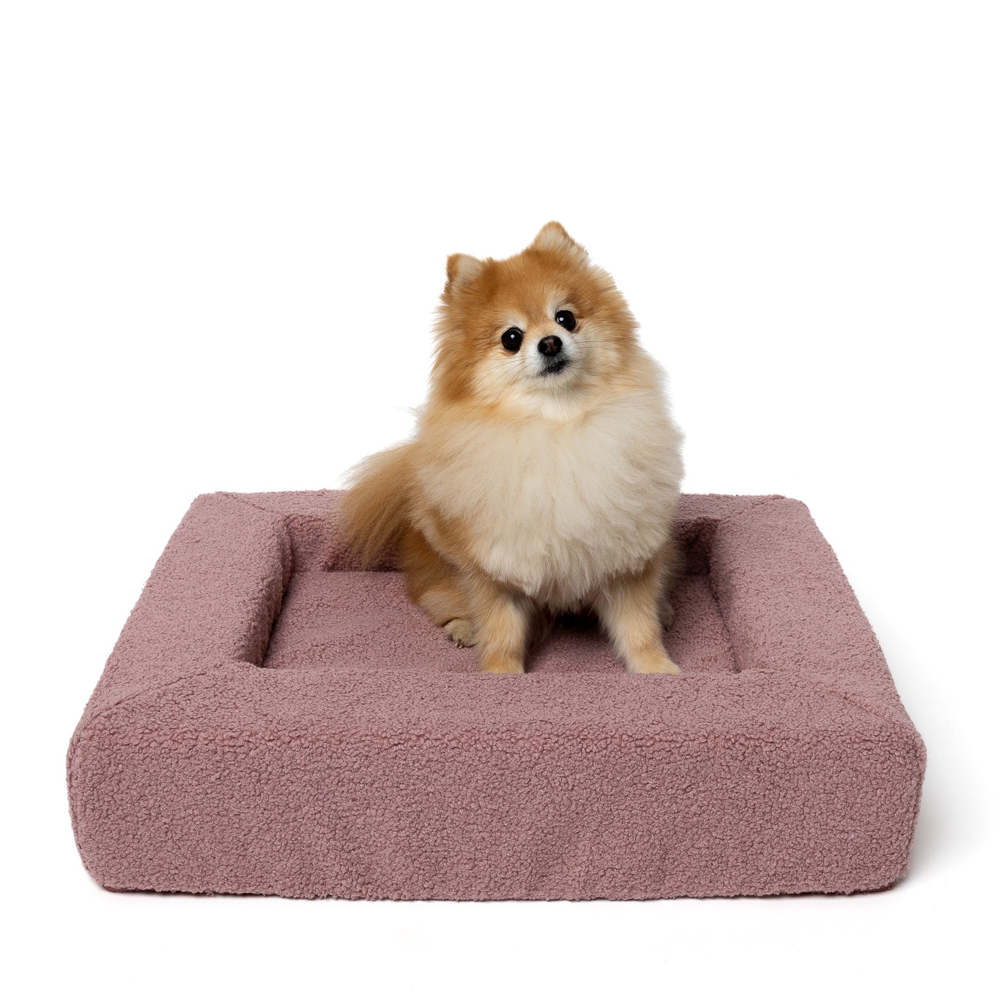 vaaleanpunainen koiranpeti pienelle koiralle, koko S, mallina pomeranian – Rapsu Bed Blush
