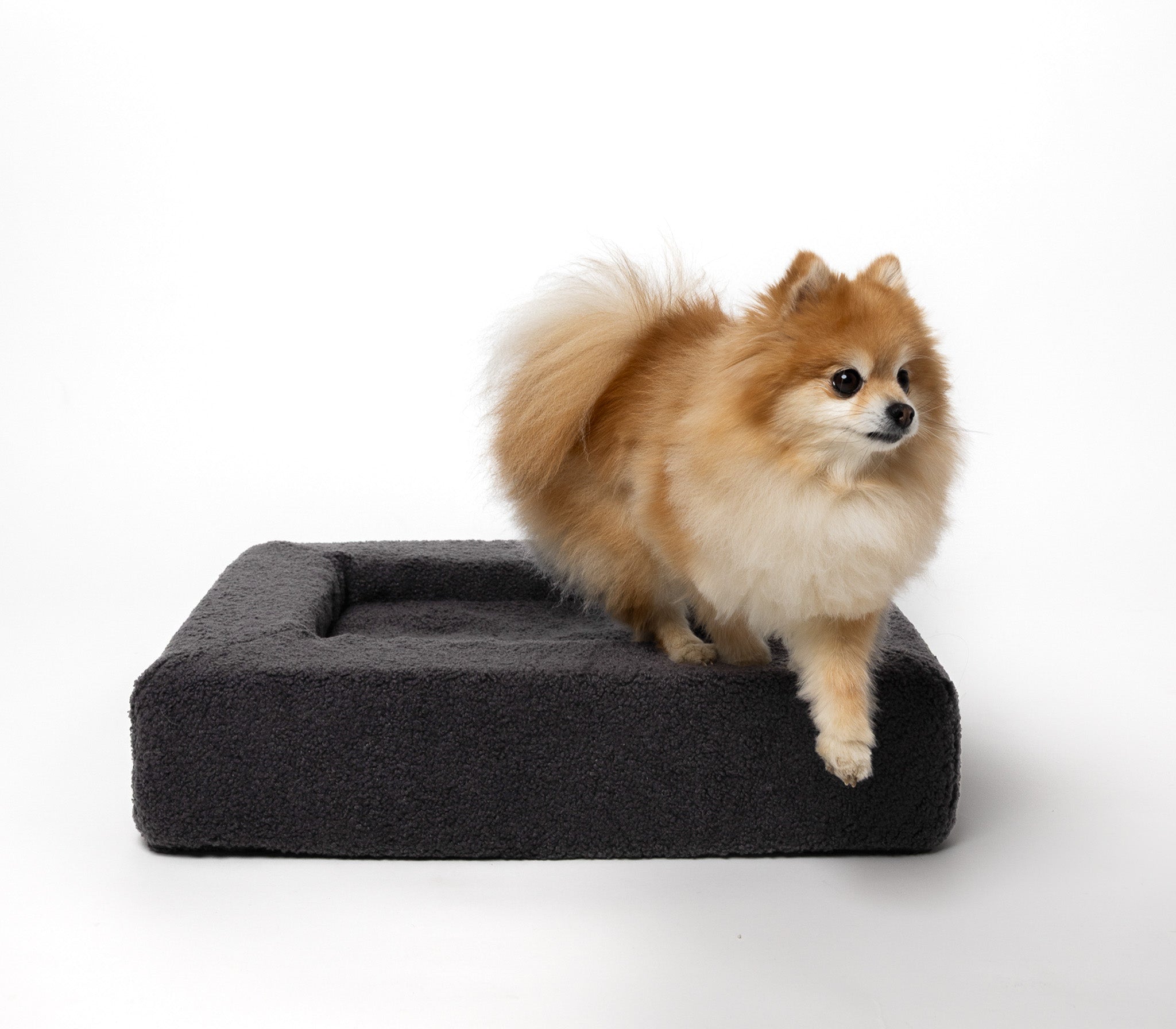 Rapsu Bed – Coal